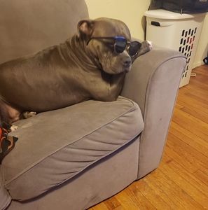 Meet your Posher, Jamie